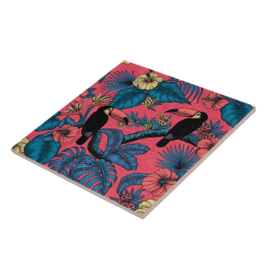 Toscaanse tuin in rood en blauw tegeltje (Zijkant)