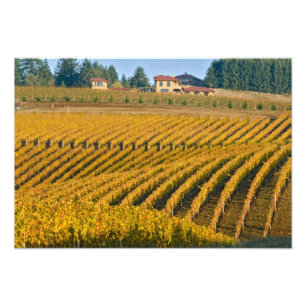 Toscaanse zwarte Walnut Inn boven de Foto Afdruk