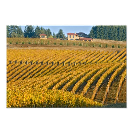 Toscaanse zwarte Walnut Inn boven de Foto Afdruk (Voorkant)