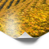 Toscaanse zwarte Walnut Inn boven de Foto Afdruk (Hoek)