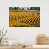 Toscaanse zwarte Walnut Inn boven de Poster (Keuken)