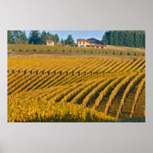 Toscaanse zwarte Walnut Inn boven de Poster