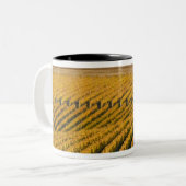 Toscaanse zwarte Walnut Inn boven de Tweekleurige Koffiemok (Voorkant links)