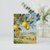 Toscane citroenboom landschap briefkaart (Staand voorkant)