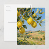 Toscane citroenboom landschap briefkaart (Voorkant / Achterkant)