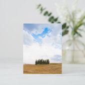 Toscane cyperbomen briefkaart (Staand voorkant)