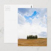 Toscane cyperbomen briefkaart (Voorkant / Achterkant)