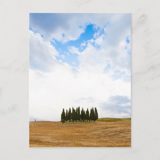 Toscane cyperbomen briefkaart (Voorkant)