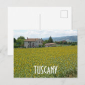 Toscane Hillside Sunflower Field Briefkaart (Voorkant / Achterkant)