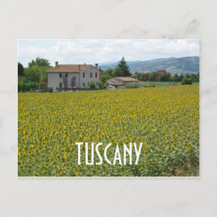 Toscane Hillside Sunflower Field Briefkaart