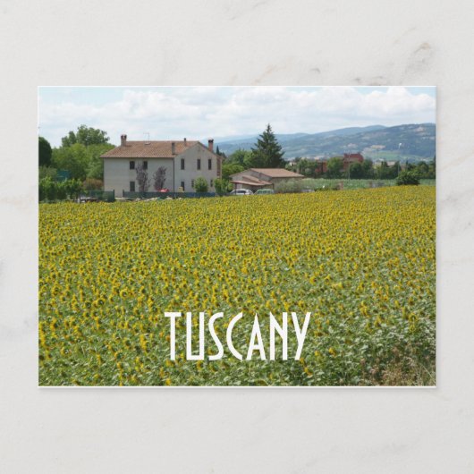 Toscane Hillside Sunflower Field Briefkaart (Voorkant)