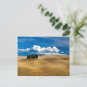 Toscane (Italië) bedekt het landschap  Briefkaart (Staand voorkant)