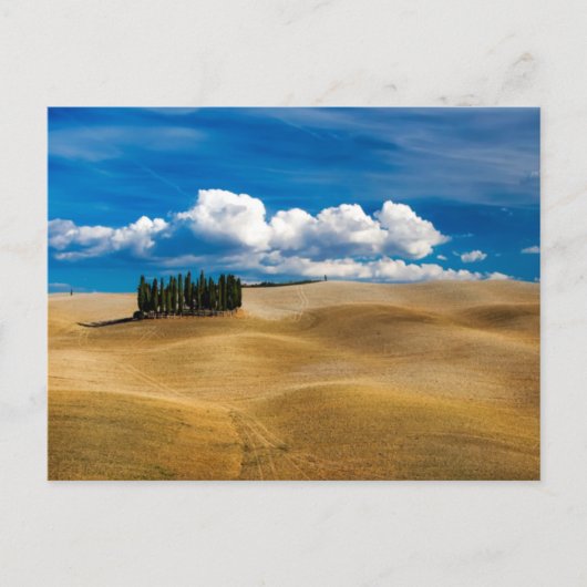 Toscane (Italië) bedekt het landschap  Briefkaart (Voorkant)