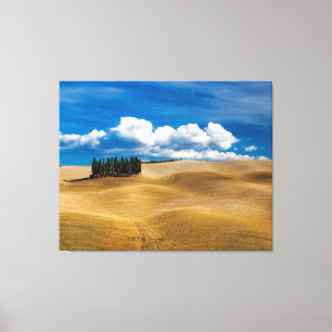 Toscane (Italië) bedekt het landschap Canvas Afdruk