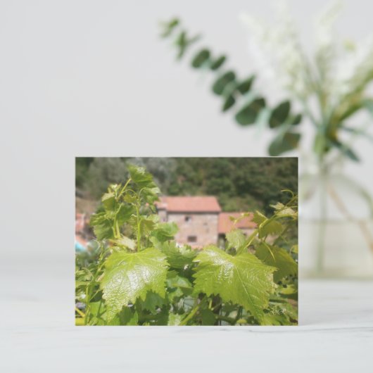 Toscane. Italië. Cortona. Briefkaart (Staand voorkant)