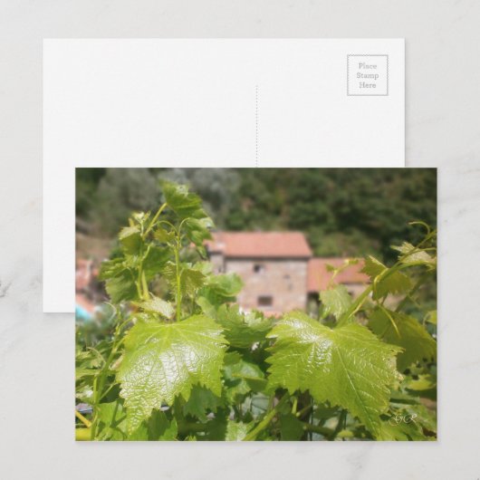 Toscane. Italië. Cortona. Briefkaart (Voorkant / Achterkant)