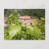 Toscane. Italië. Cortona. Briefkaart (Voorkant)