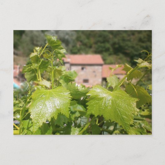 Toscane. Italië. Cortona. Briefkaart (Voorkant)