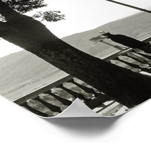 Toscane. Italië. Cortona Poster (Hoek)