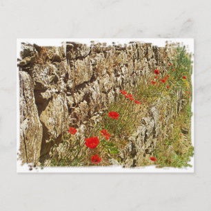 Toscane, Italië. Illustratie. Briefkaart