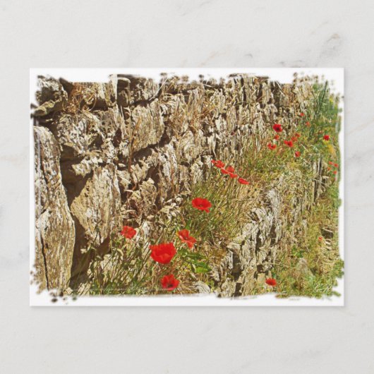 Toscane, Italië. Illustratie. Briefkaart (Voorkant)