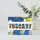 Toscane Italië Toscane Vineyard reisfoto's Briefkaart (Staand voorkant)