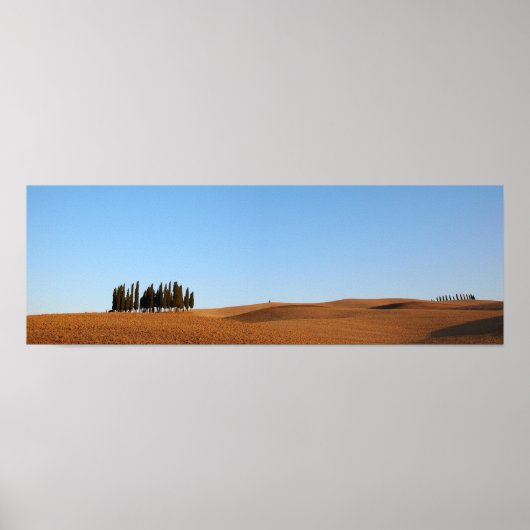 Toscane landschap met cypresse poster panorama (Voorkant)