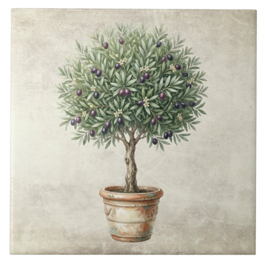 Toscane Olijf Topiary Mediterraan Tegeltje (Voorkant)