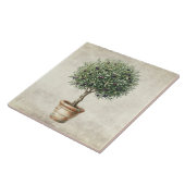 Toscane Olijf Topiary Mediterraan Tegeltje (Zijkant)