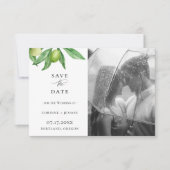 Toscane Olive Branch Photo Save the Date Aankondiging (Voorkant)