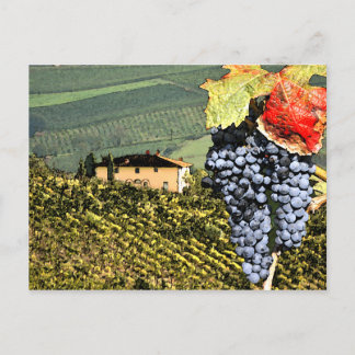 Toscane Vineyard Briefkaart
