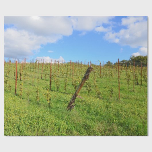 Toscane Vineyard Cadeaupapier (Vlak)