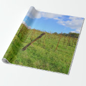 Toscane Vineyard Cadeaupapier (Uitgerold)
