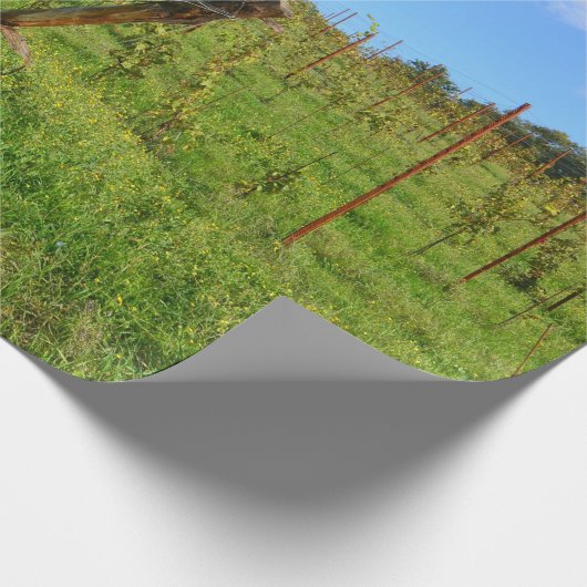 Toscane Vineyard Cadeaupapier (Hoek)