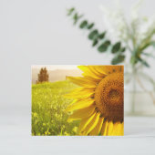 Toscane zonnebloemen briefkaart (Staand voorkant)