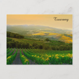 Toscany Italië Italiaanse vineyard reisfoto Briefkaart