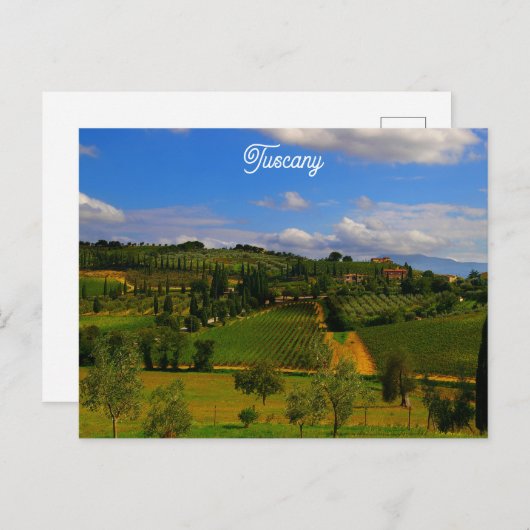 Toscany Italië Italiaanse vineyard reisfoto Briefkaart (Voorkant / Achterkant)