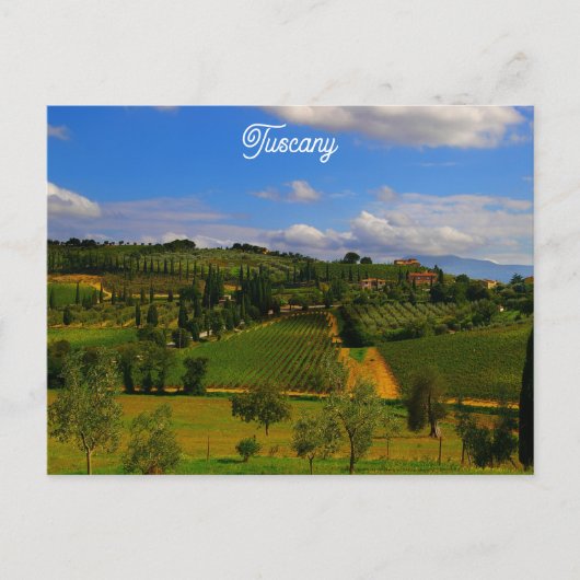 Toscany Italië Italiaanse vineyard reisfoto Briefkaart (Voorkant)