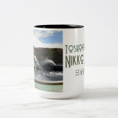 Toshogu Shrine Nikko Japan Dragon Fountain Mok (Center)