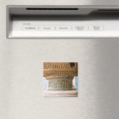 Toshxauli Palace · Magneet (Insitu (Vaatwasser))