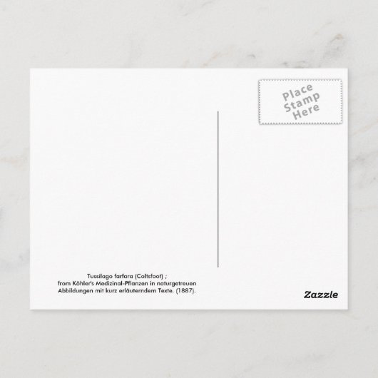 Tosilago farfarfara (Coltsfoot) Briefkaart (Achterkant)