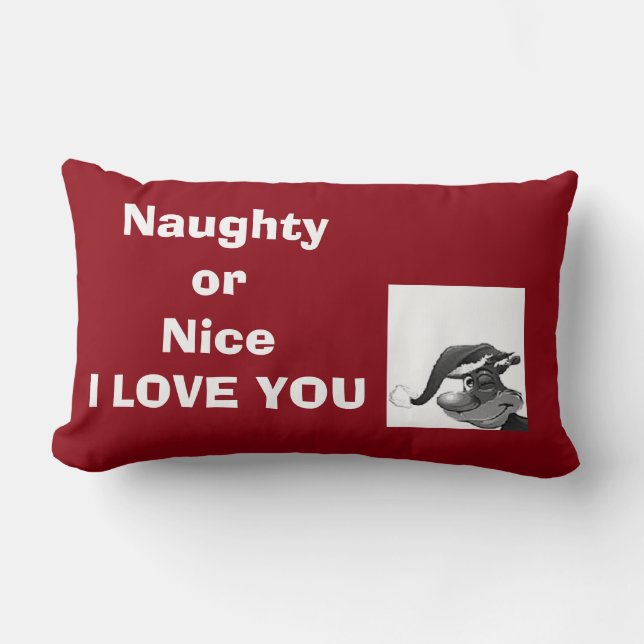 TOSS PILLOW VOOR DE NAUWKEURIGHEID/NICE IN UW LEVE KUSSEN (Voorkant)