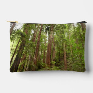 Tot aan de Redwoods I in Muur Woods National Monum Etui