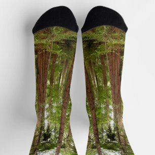 Tot aan de Redwoods I in Muur Woods National Monum Sokken