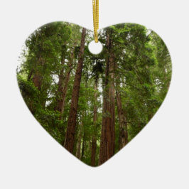 Tot aan de rode bomen I in Muir Woods National Mon Keramisch Ornament