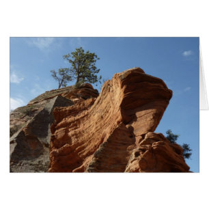 Tot Angels die landt in Zion National Park