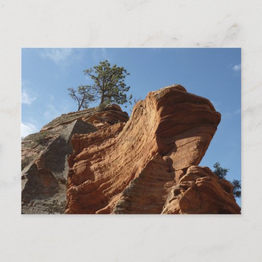 Tot Angels die landt in Zion National Park Briefkaart (Voorkant)