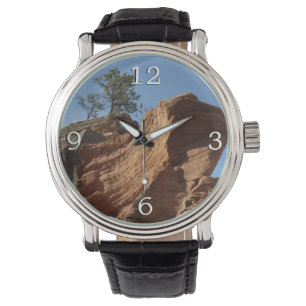 Tot Angels die landt in Zion National Park Horloge