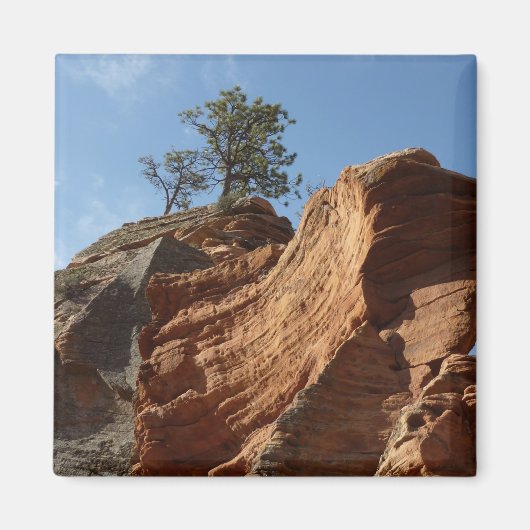 Tot Angels die landt in Zion National Park Magneet (Voorkant)