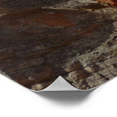 Tot Angels die landt in Zion National Park Poster (Hoek)